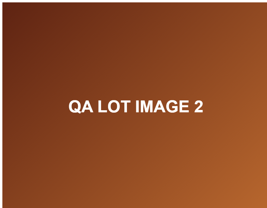 QA-seller-s4-lot-2